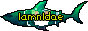 lamnidae website button